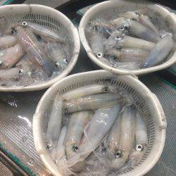 ＴＡＲＯＭＡＲＵ 釣果