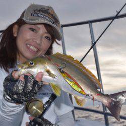 渡船屋たにぐち 釣果