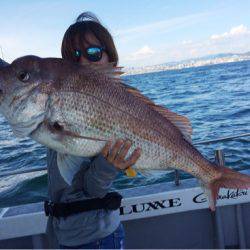 SeaRide(シーライド) 釣果