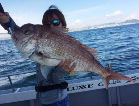 SeaRide(シーライド) 釣果