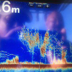 Chase(チェイス) 釣果