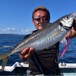 渡船屋たにぐち 釣果