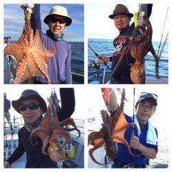 ビッグファイター 釣果