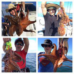 ビッグファイター 釣果