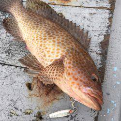 第二 海洋丸 釣果