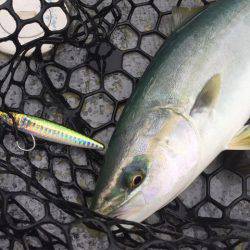 第二 海洋丸 釣果