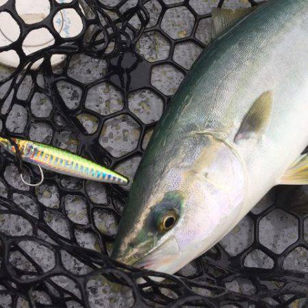 第二 海洋丸 釣果