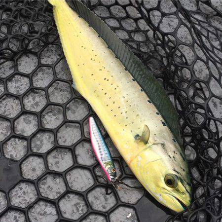 第二 海洋丸 釣果