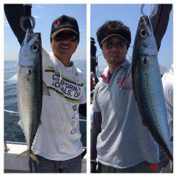 ビッグファイター 釣果