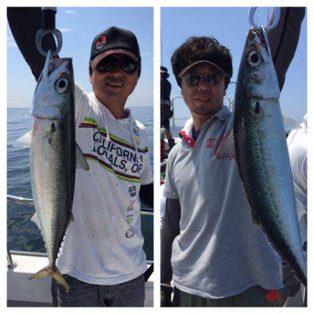 ビッグファイター 釣果