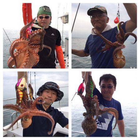 ビッグファイター 釣果