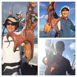 ビッグファイター 釣果