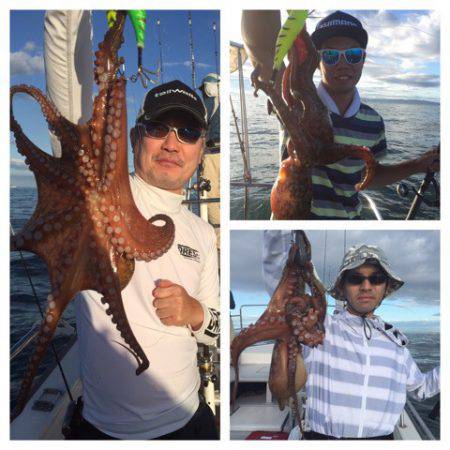 ビッグファイター 釣果