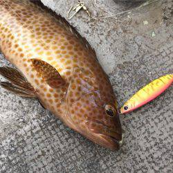 第二 海洋丸 釣果