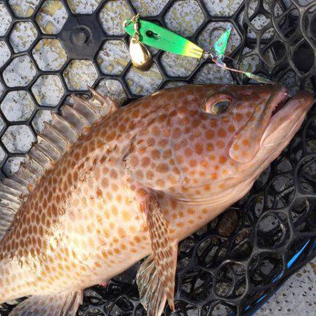 第二 海洋丸 釣果