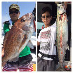 ビッグファイター 釣果