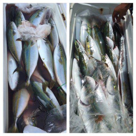 ビッグファイター 釣果