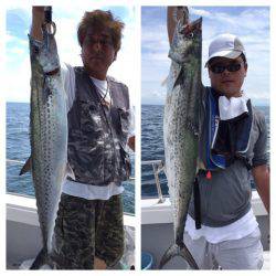 ビッグファイター 釣果