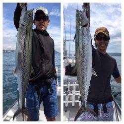 ビッグファイター 釣果