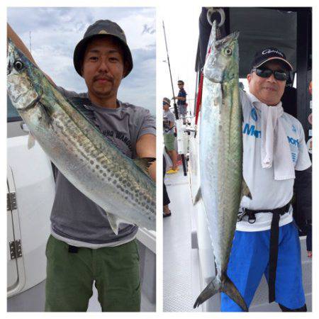 ビッグファイター 釣果