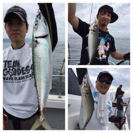 ビッグファイター 釣果