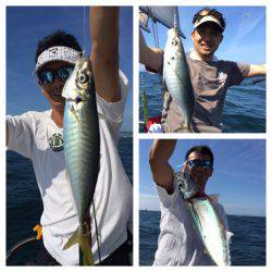 ビッグファイター 釣果