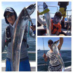 ビッグファイター 釣果