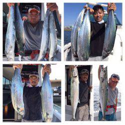 ビッグファイター 釣果