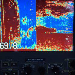 渡船屋たにぐち 釣果