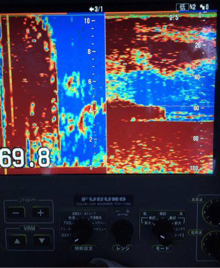 渡船屋たにぐち 釣果