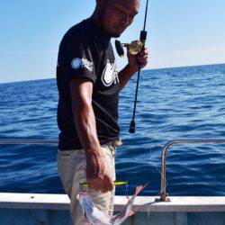 渡船屋たにぐち 釣果