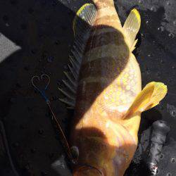 第二龍勢丸 釣果