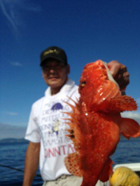 晃山丸 釣果