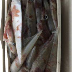 第二龍勢丸 釣果