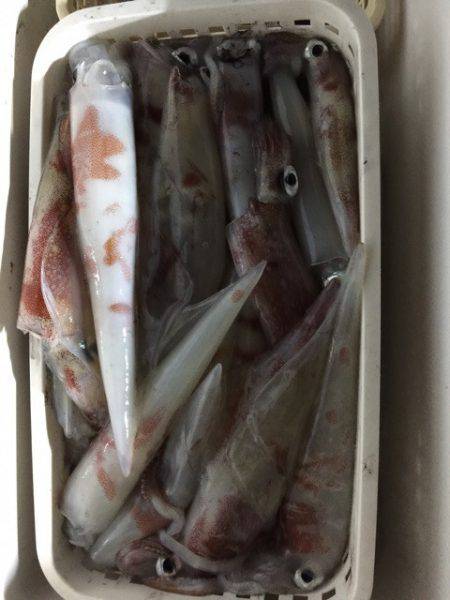 第二龍勢丸 釣果