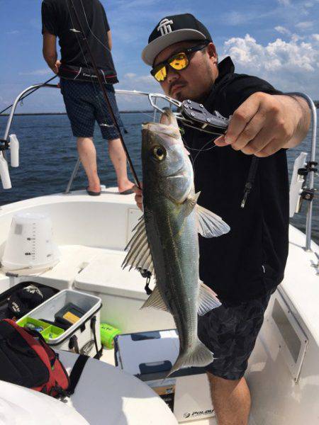 うさぎ丸 釣果