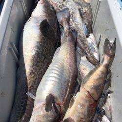 第二八坂丸 釣果