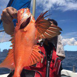 エヌスタイル 釣果