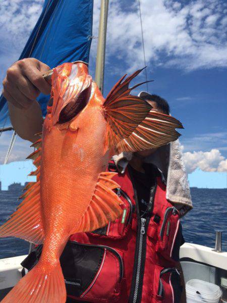 エヌスタイル 釣果