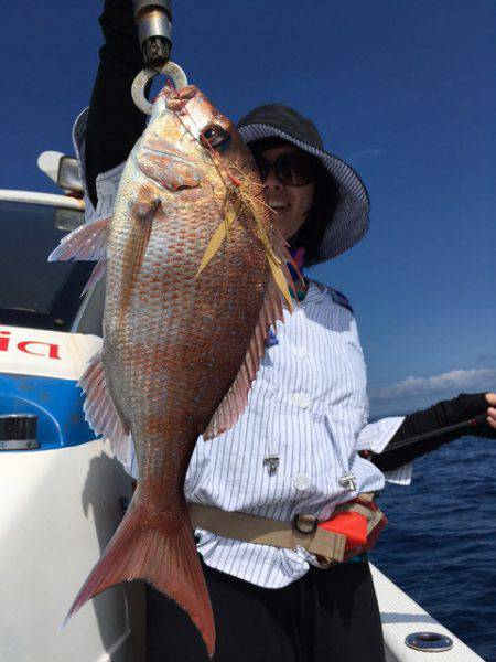 エヌスタイル 釣果