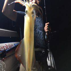 エヌスタイル 釣果