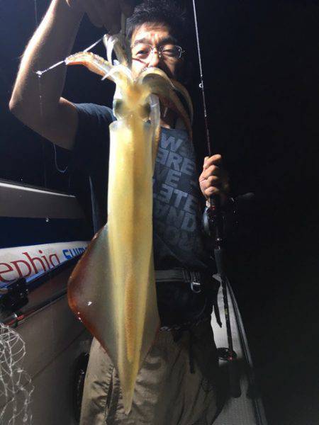 エヌスタイル 釣果