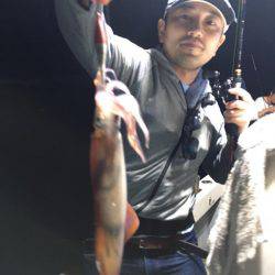 エヌスタイル 釣果