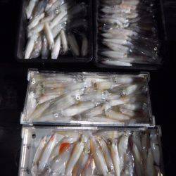 渡船屋たにぐち 釣果