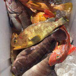 第二龍勢丸 釣果