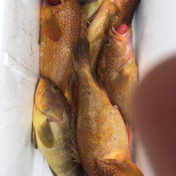 第二龍勢丸 釣果