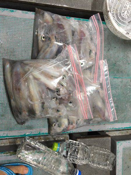 ＴＡＲＯＭＡＲＵ 釣果