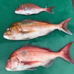 まるいち丸 ZERO-1 釣果