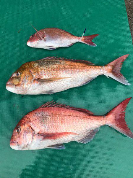 まるいち丸 ZERO-1 釣果