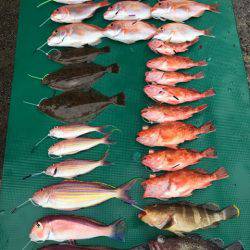 まるいち丸 ZERO-1 釣果